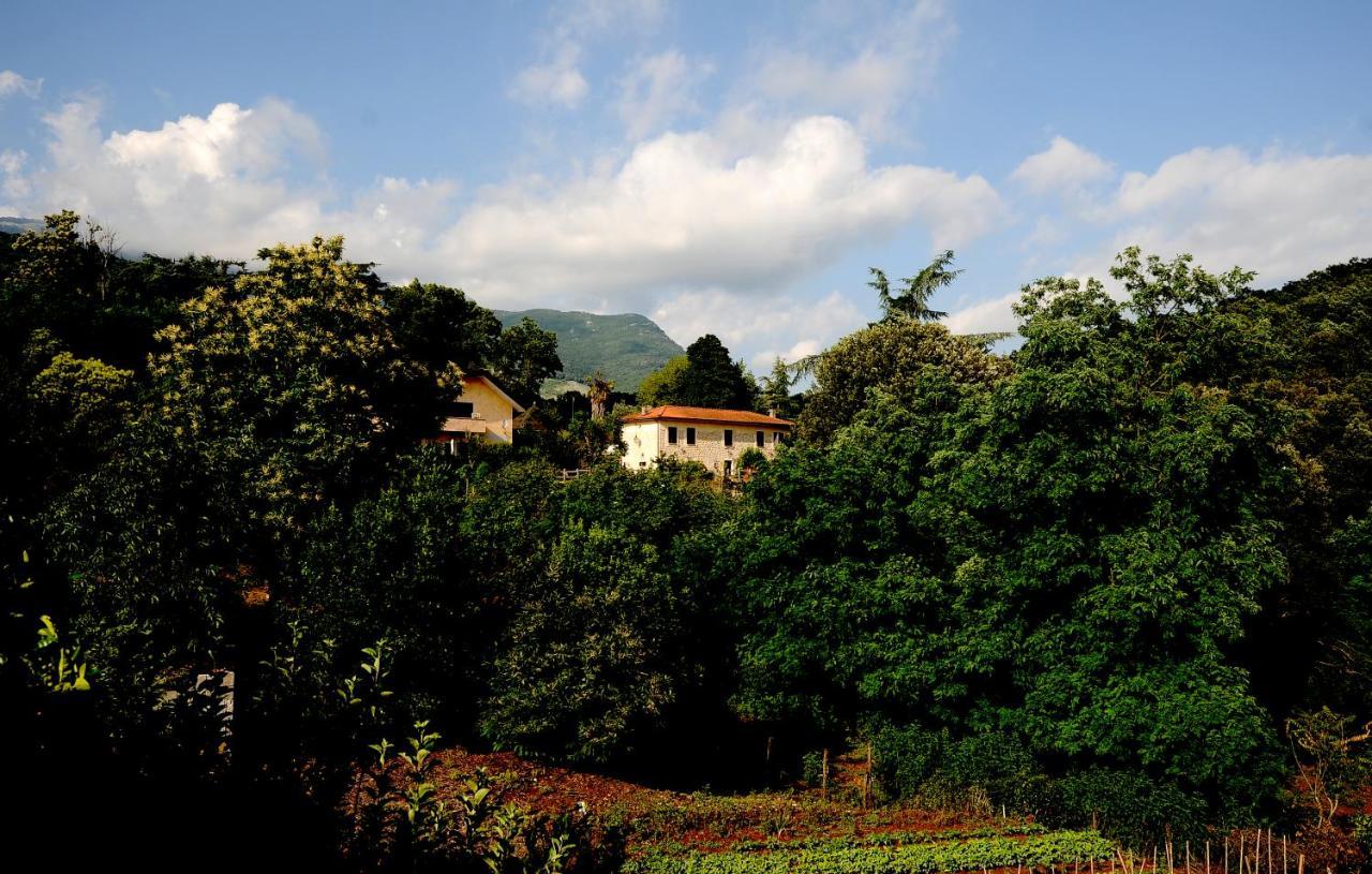 Country House Sezze Dış mekan fotoğraf